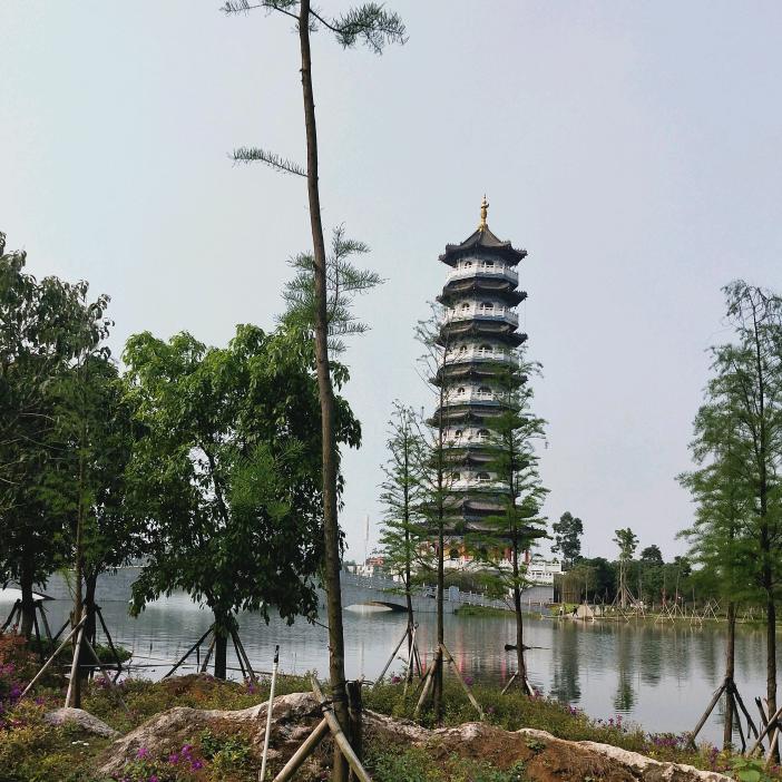 易鸽