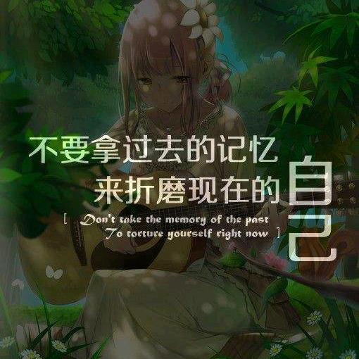 夹缝中的猫i