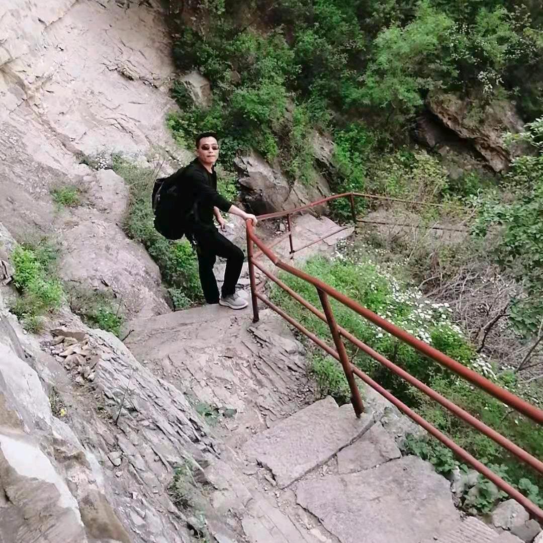 ‘单’顶鹤
