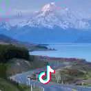 笨
