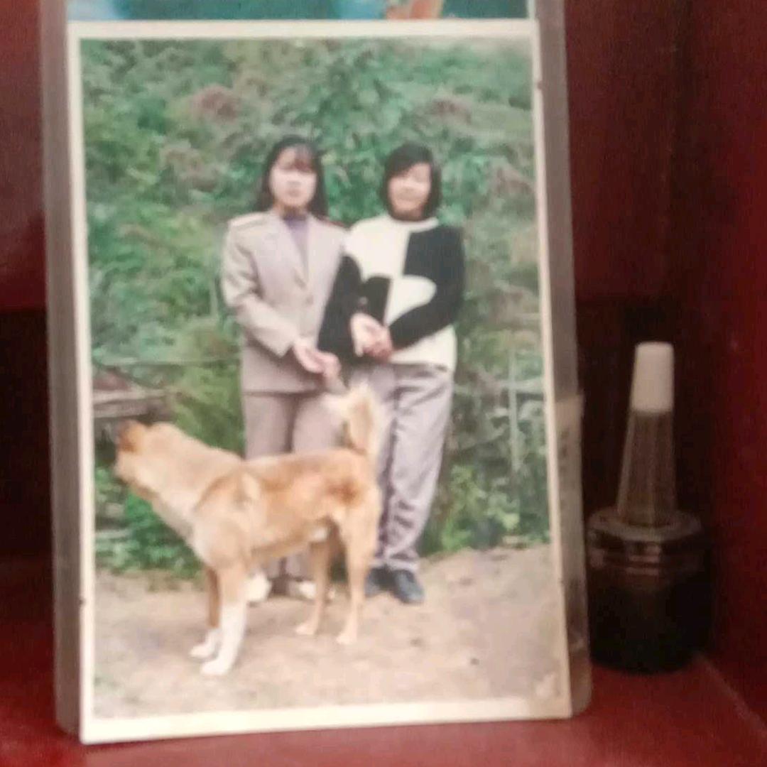 小草