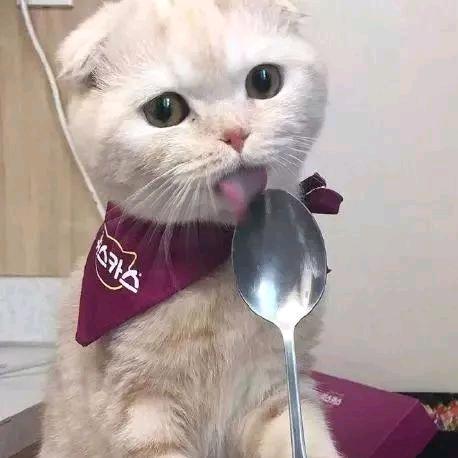 橙子丫