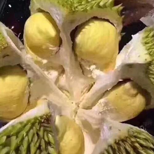 涛声依旧