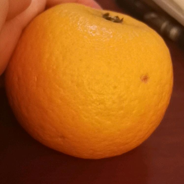 XP