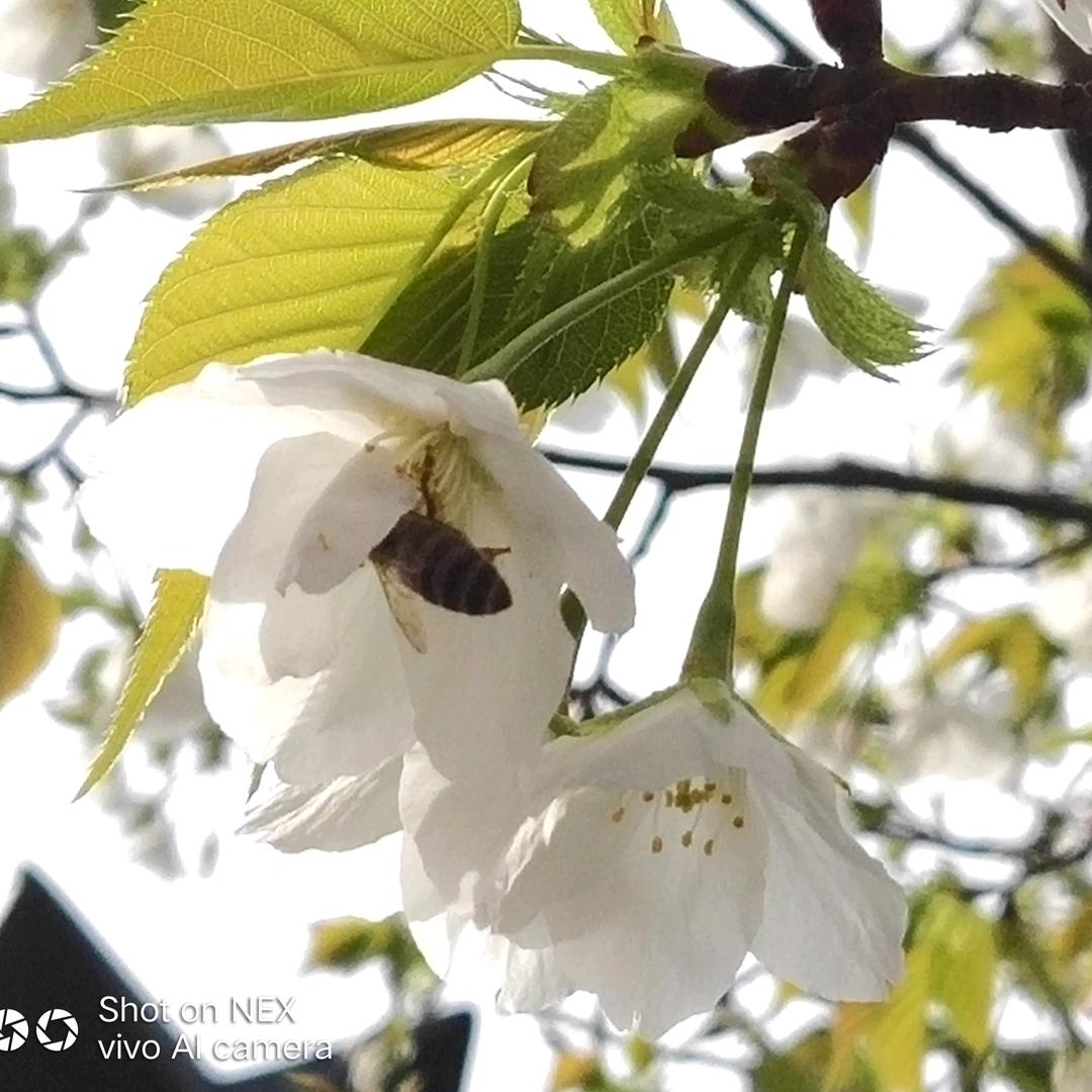 动次打次动次