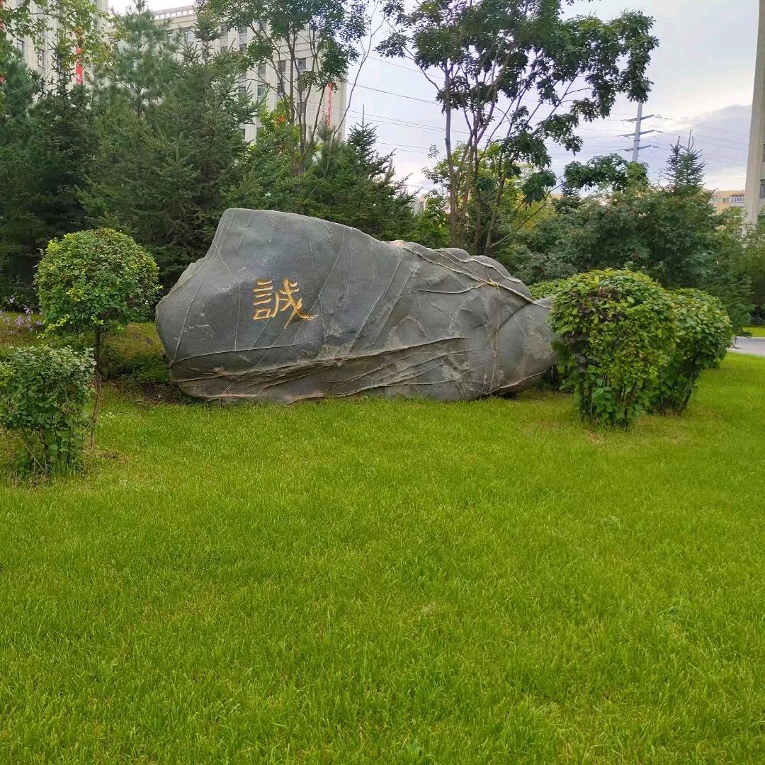 随风漂泊……