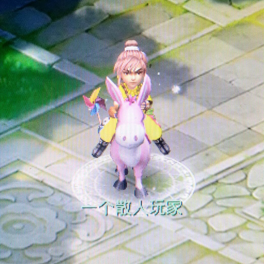 散人爱玩游戏