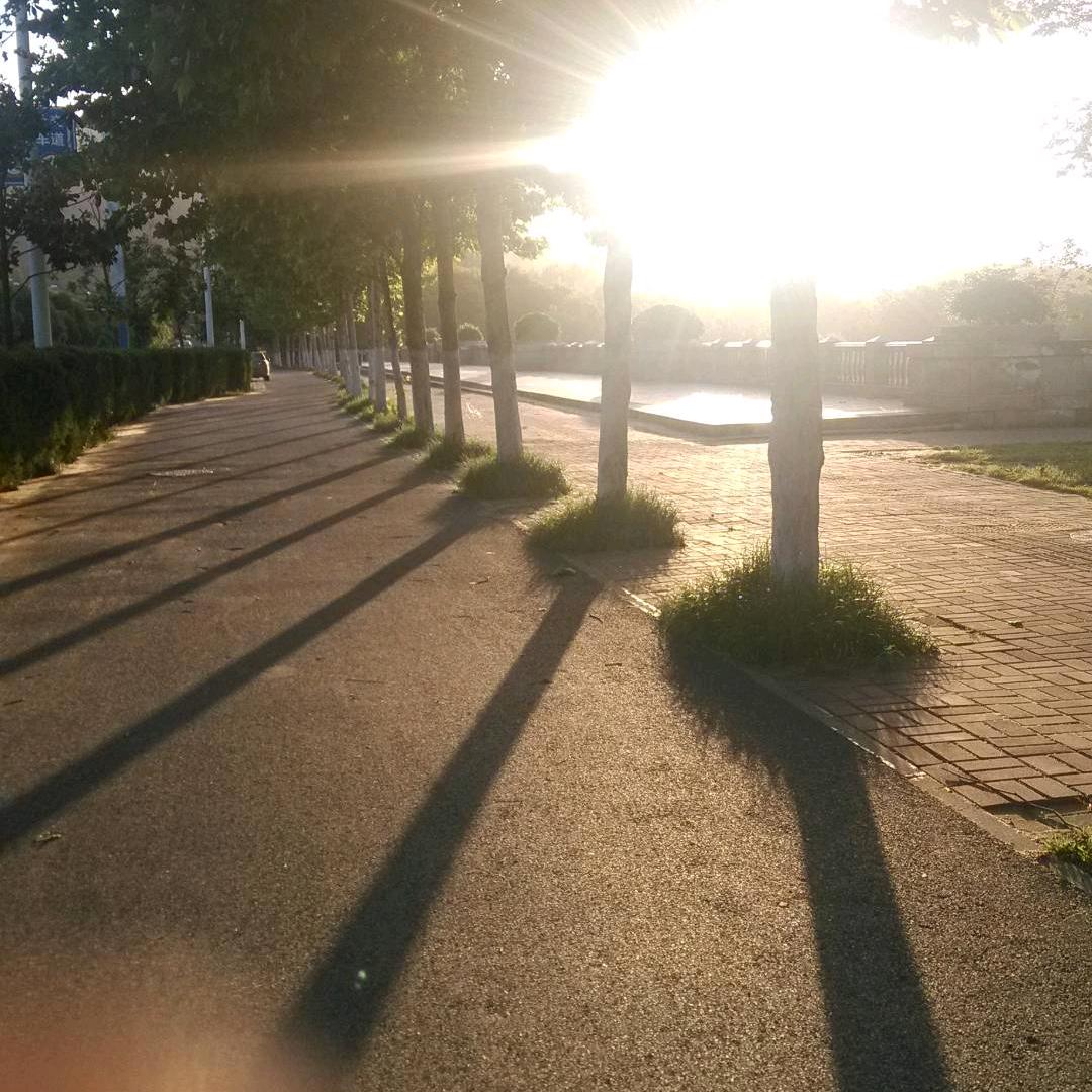 蓬莱