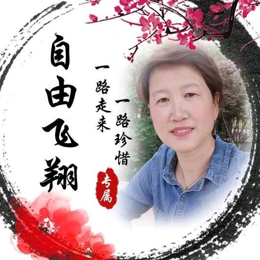 自由飞翔（拒聊）
