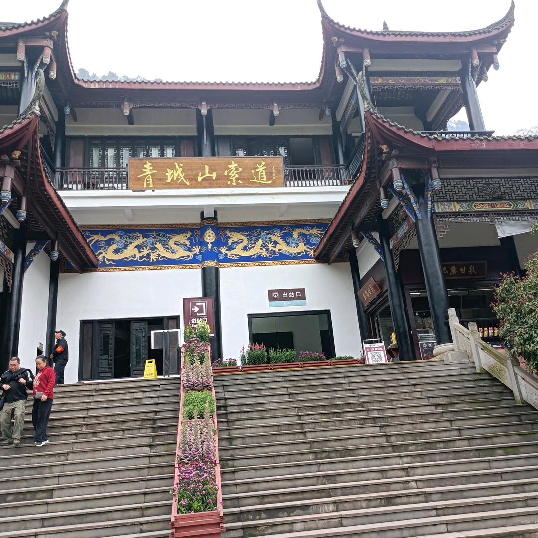 向阳花田
