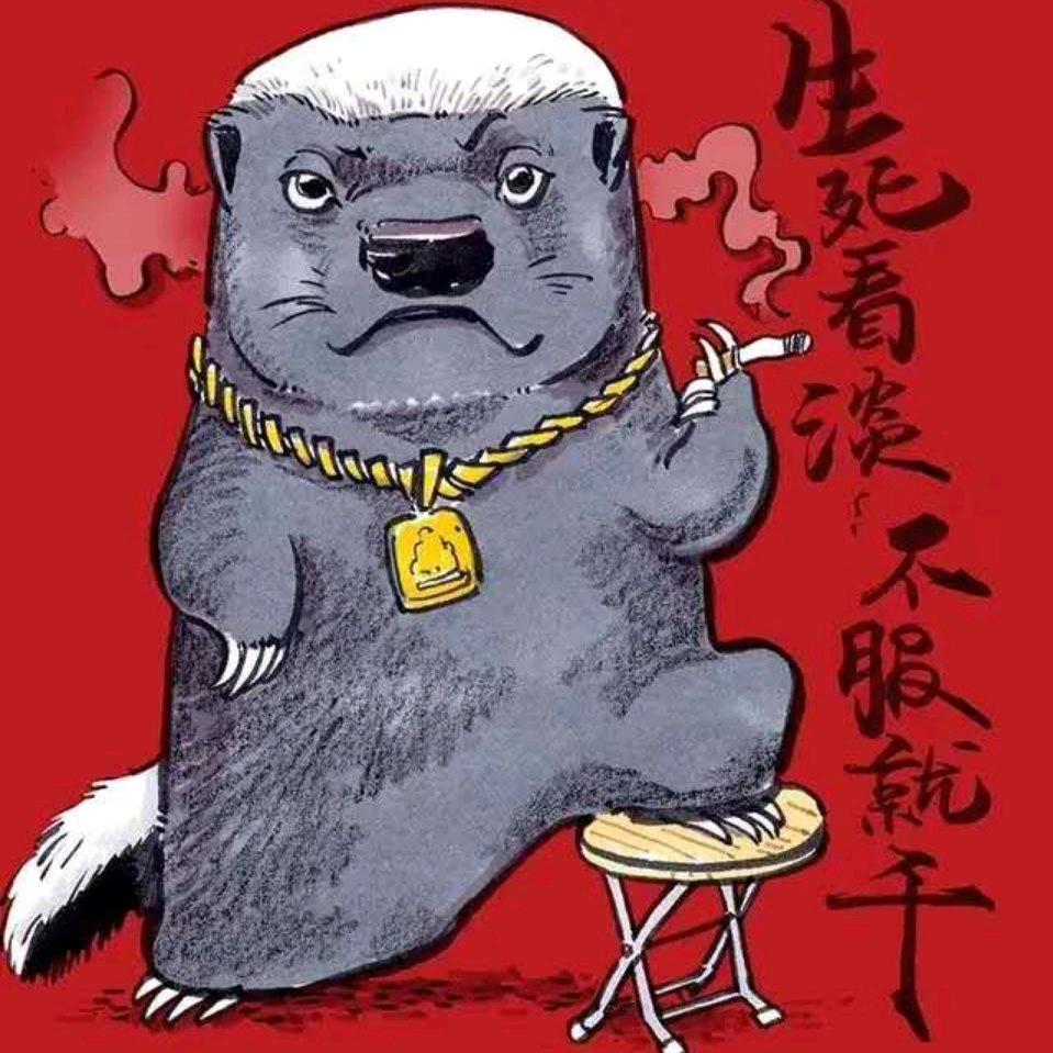 我很丑💤