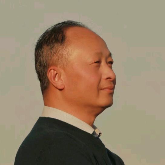 来自远方的雁