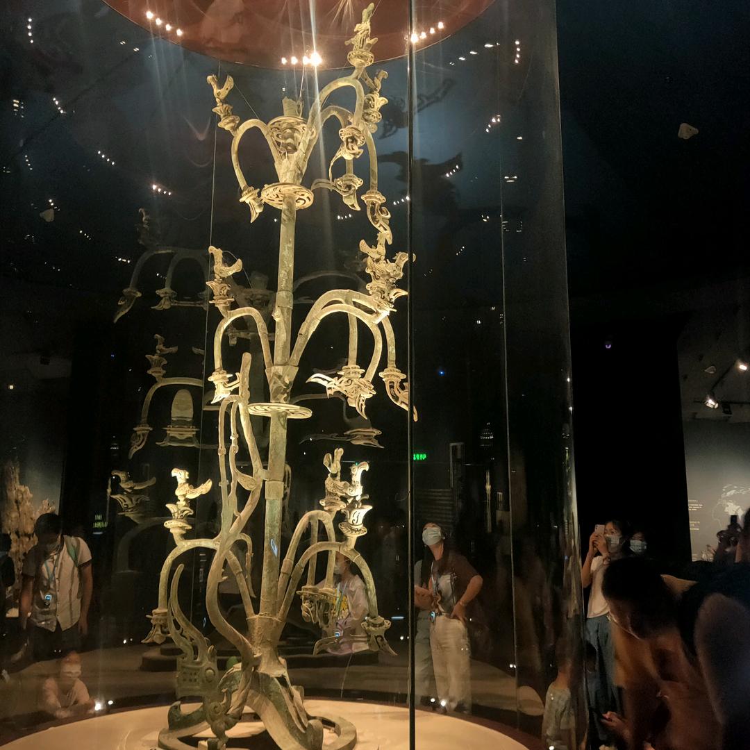 明月别枝惊鹊