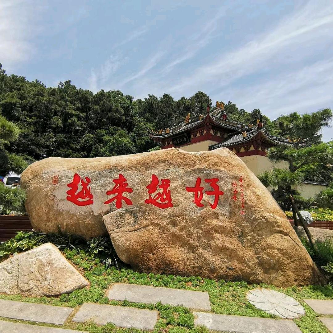 普陀山小龙