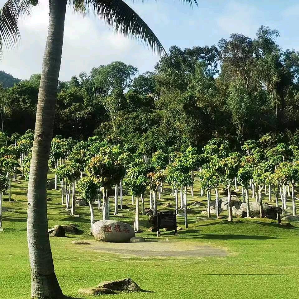 我的世界只有黑与白