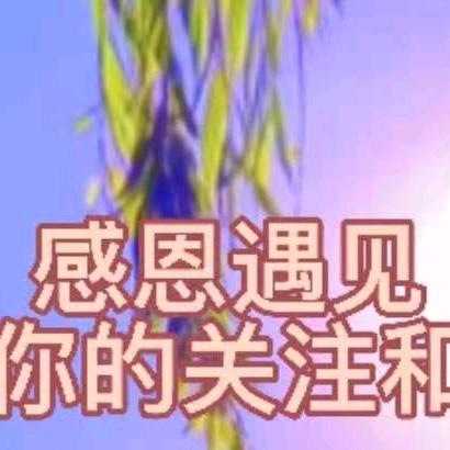 随心语录