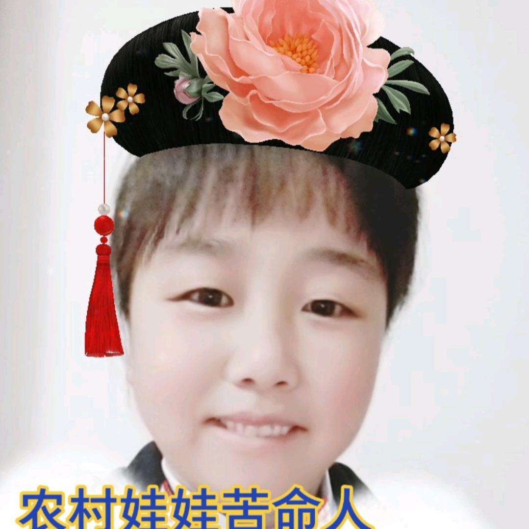 金芝玉叶