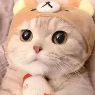 大话西游笑红尘