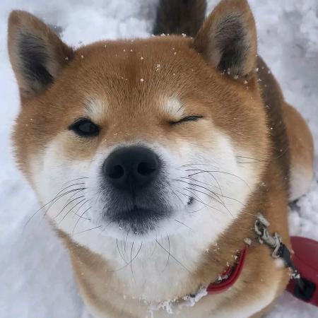 孟宇