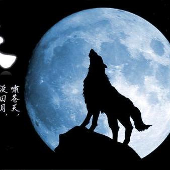 冰山上的狼