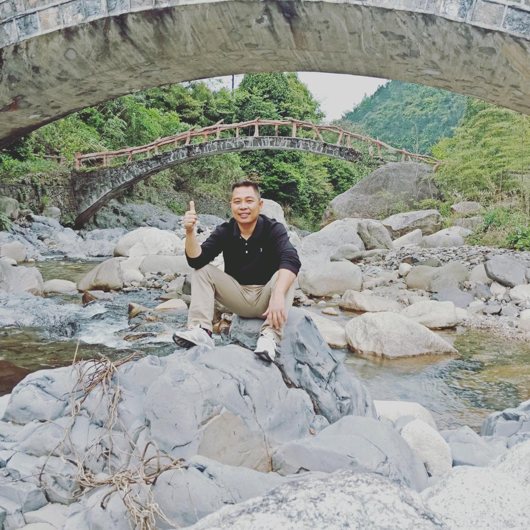 水果苗木