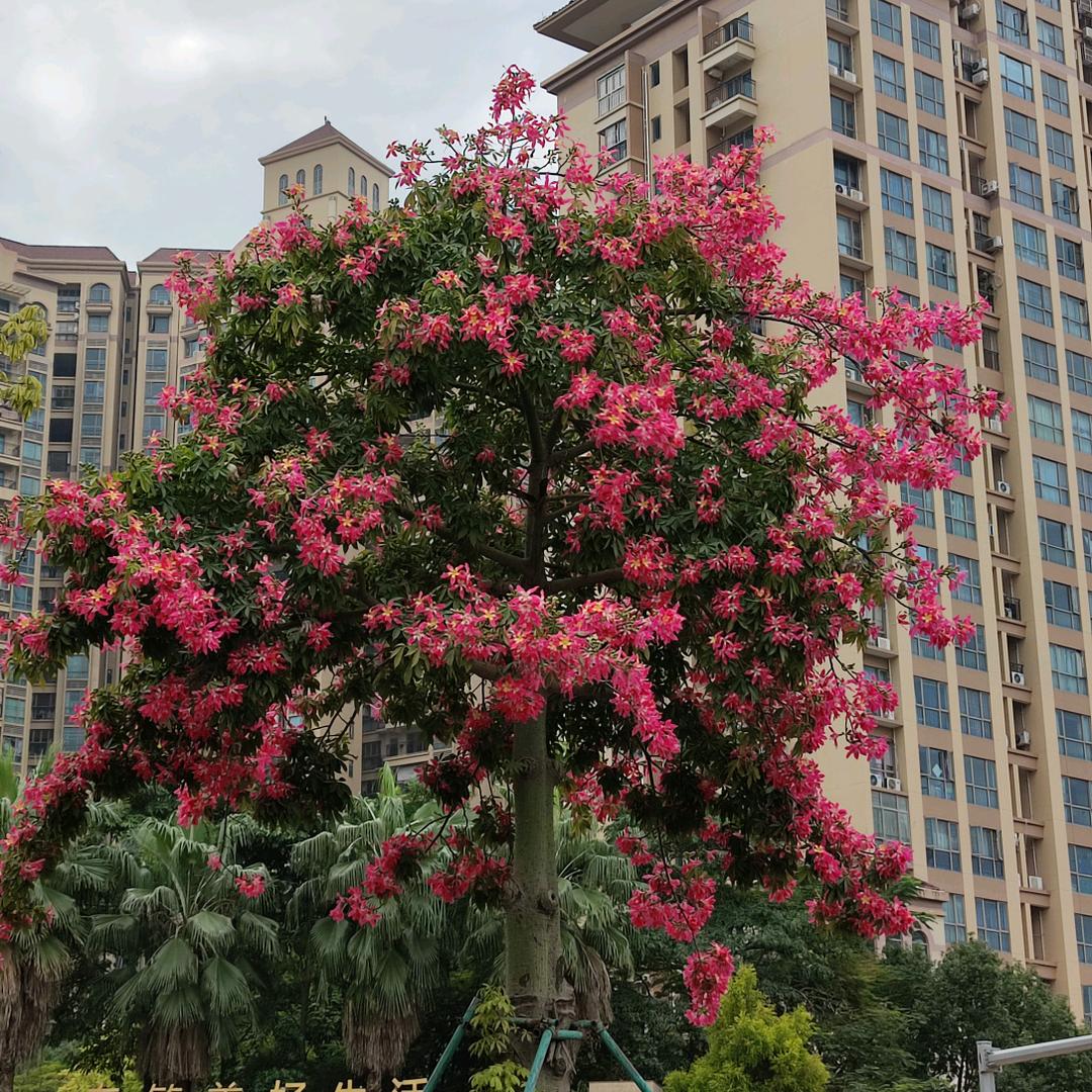 取个啥名