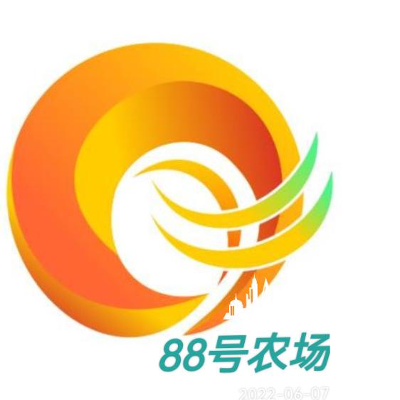 88号农场甄选