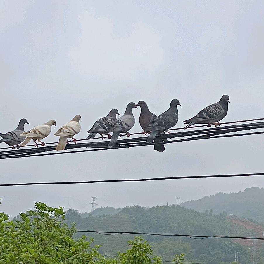 龙南果多多农场