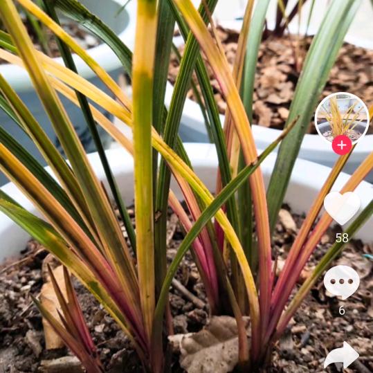 70后，单身，陈哥