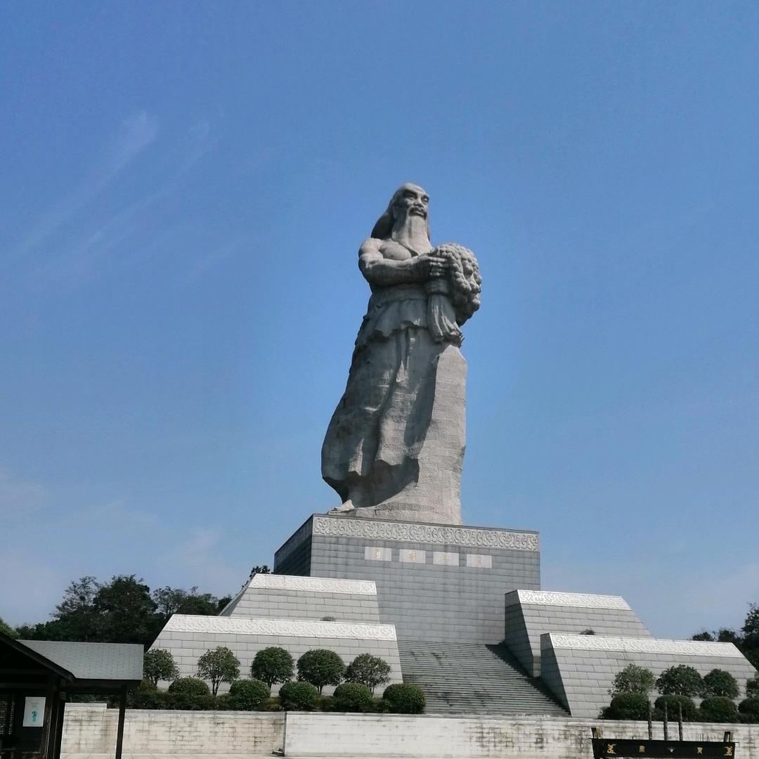 花王牡丹