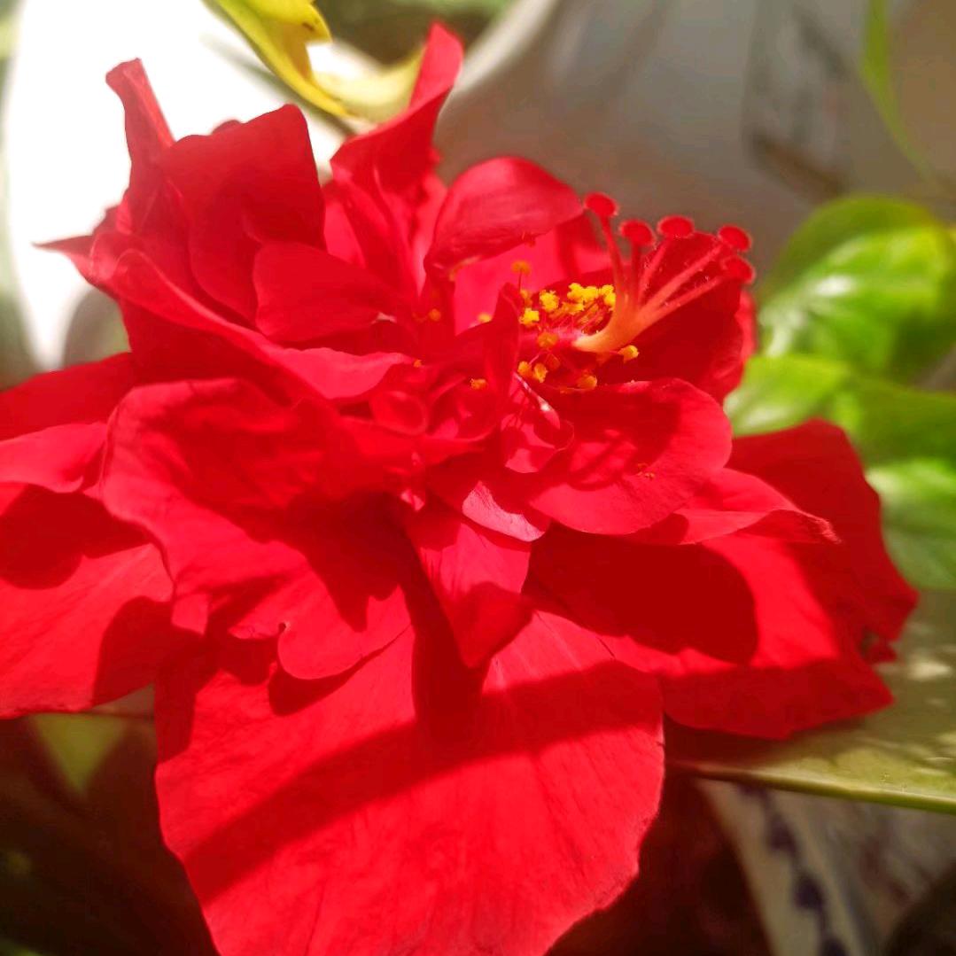 🌈🌈运转乾坤