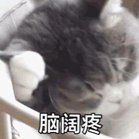 漠之