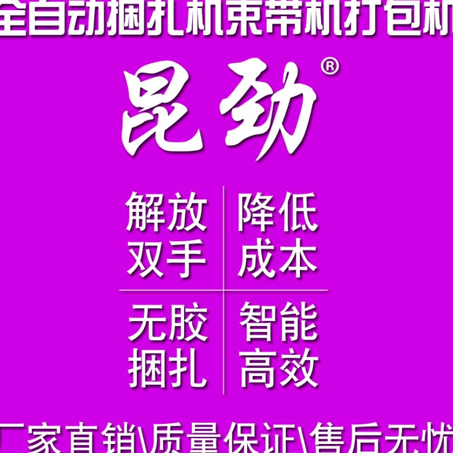昆劲捆扎机束带机打包机