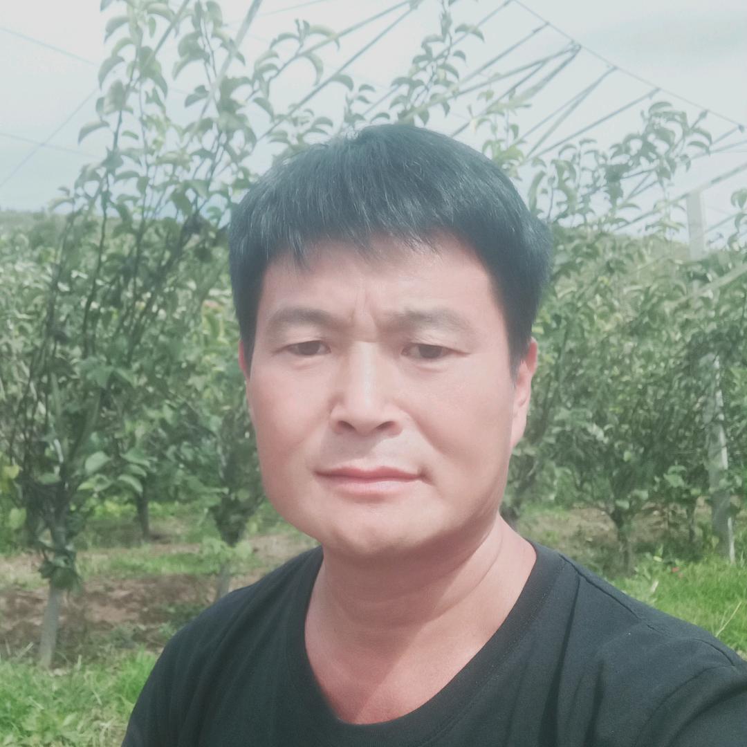一帆风顺