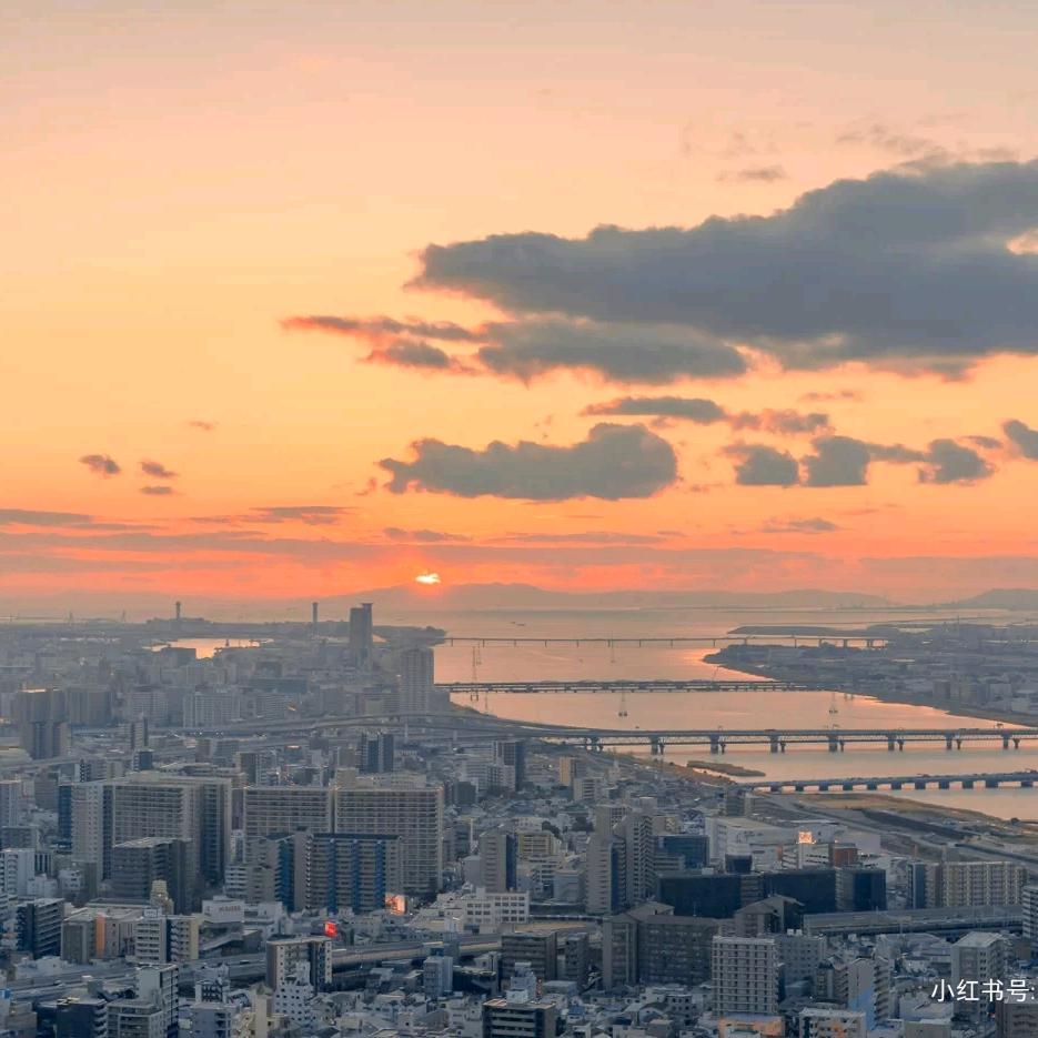 居然是山哥