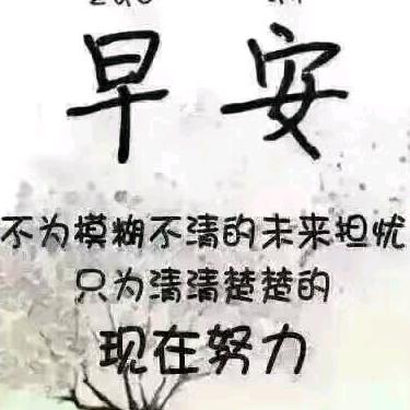 z三哥