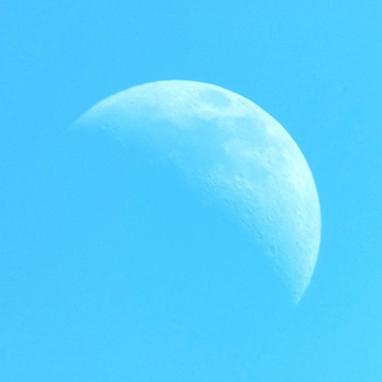 山竹林611