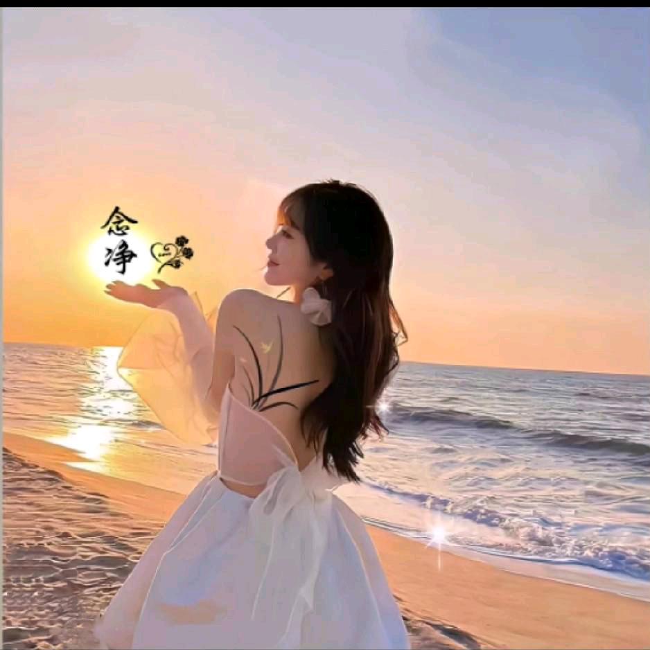 周口探房
