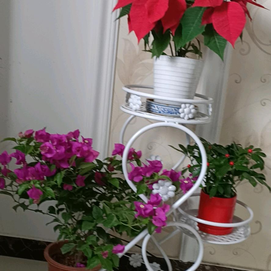 幸福感爆棚