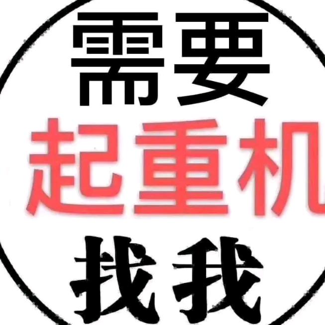 青海河南矿山起重