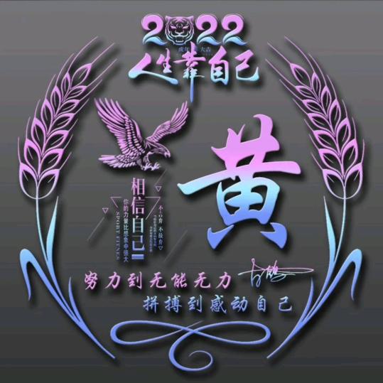 老黄的探店日常