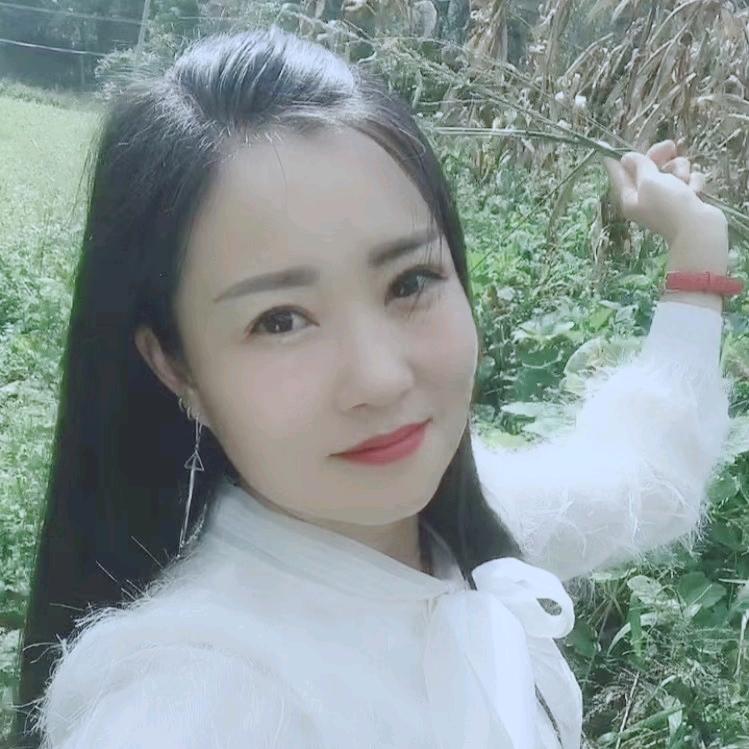 王媚儿