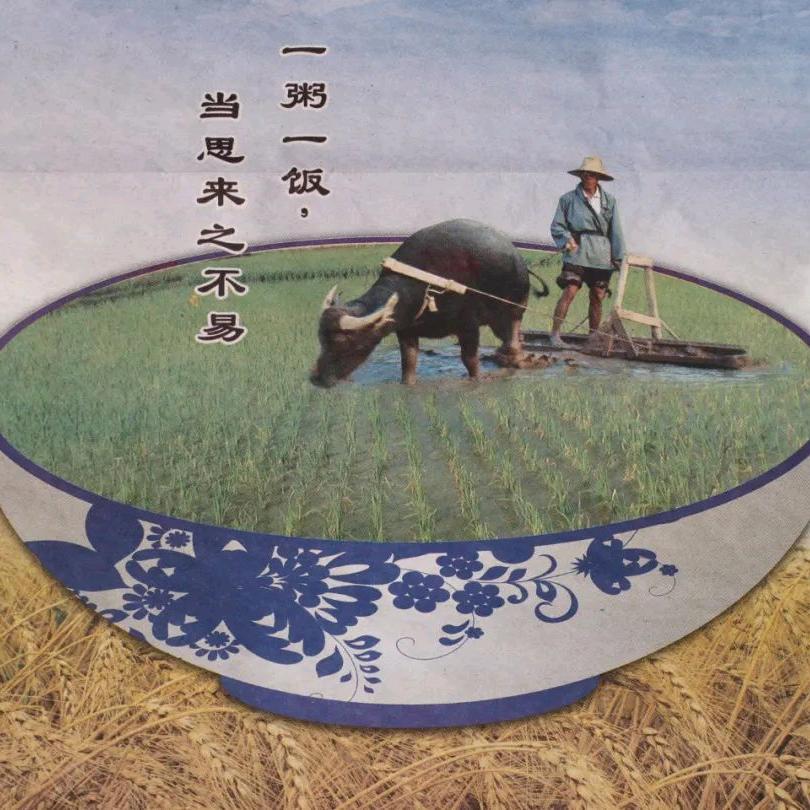 人生如牛