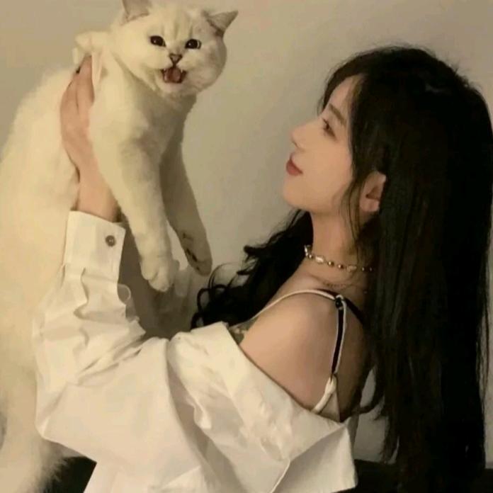 在悄悄发光ˡᵃ