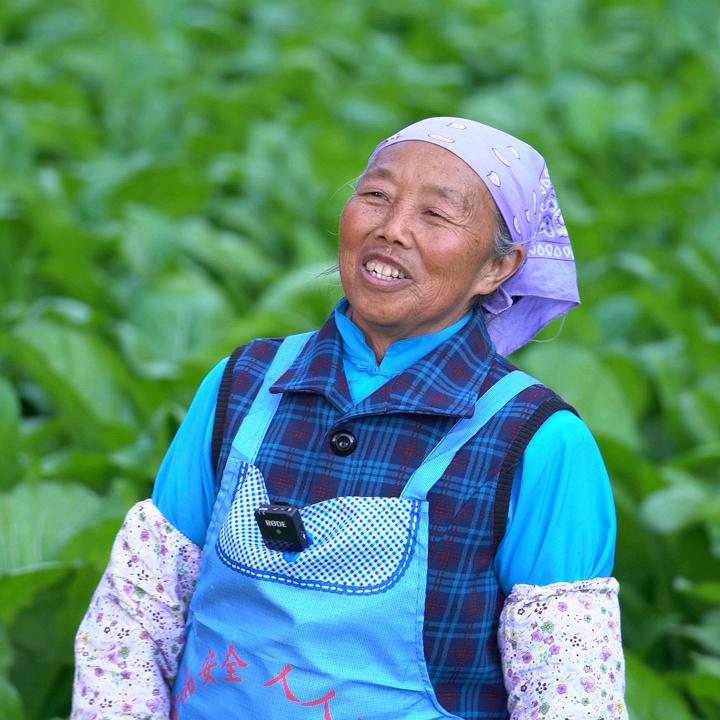 黄翠兰腌菜