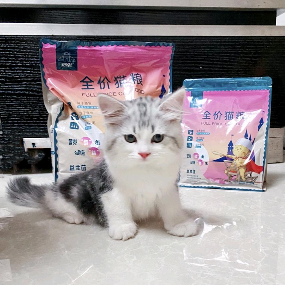 爱堡仕宠物食品企业店