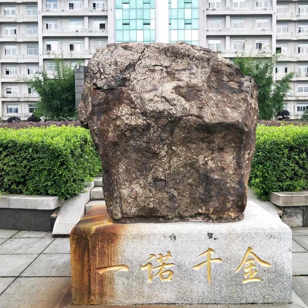 归途