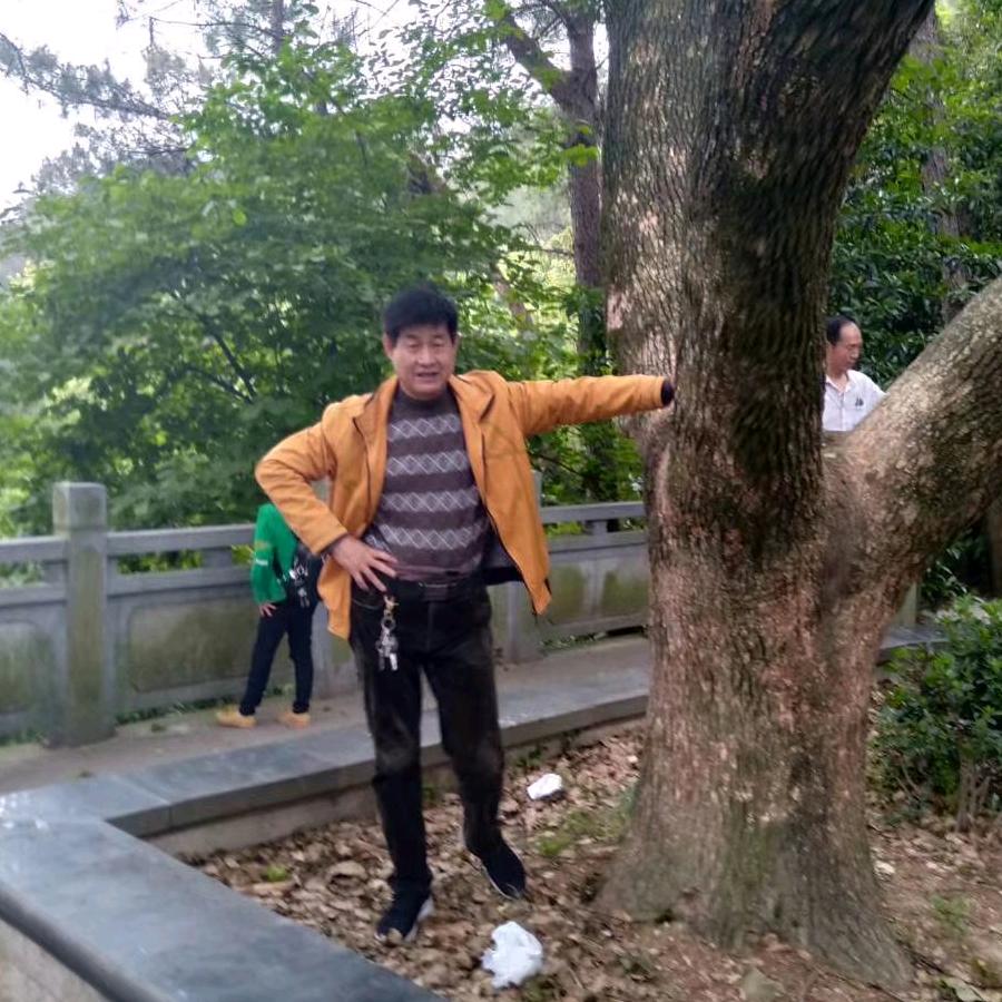 海很蓝柯䢖龙