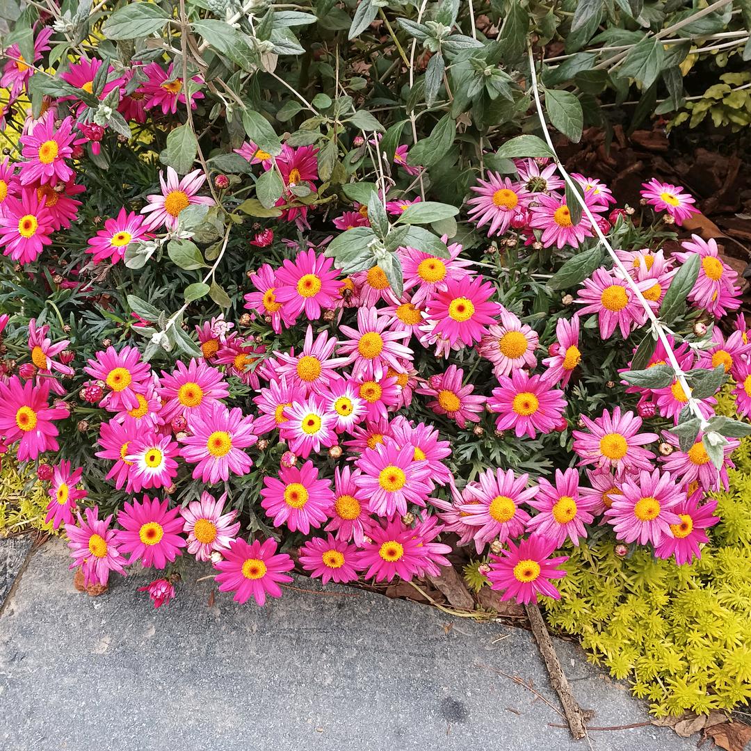 彭洪::开心就好