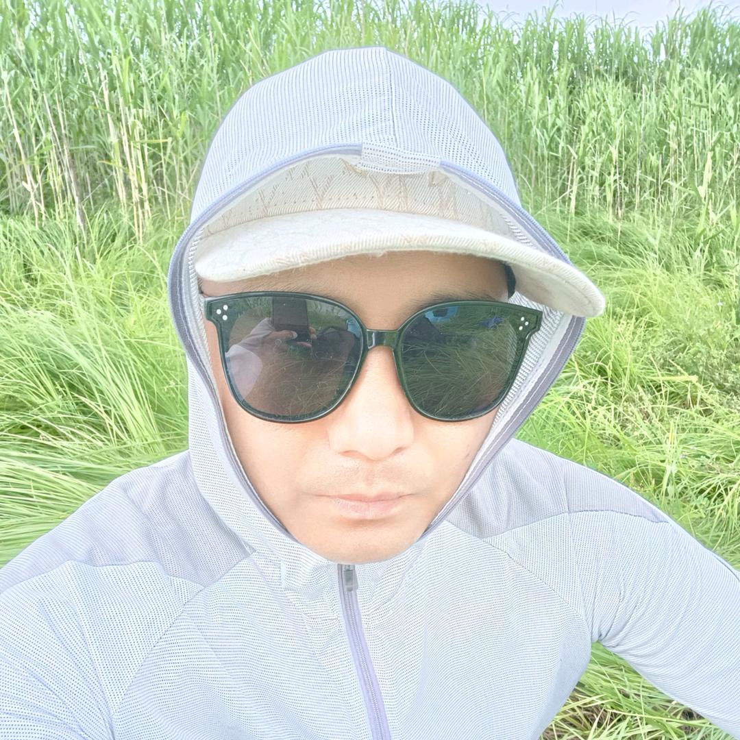 $黑曼巴